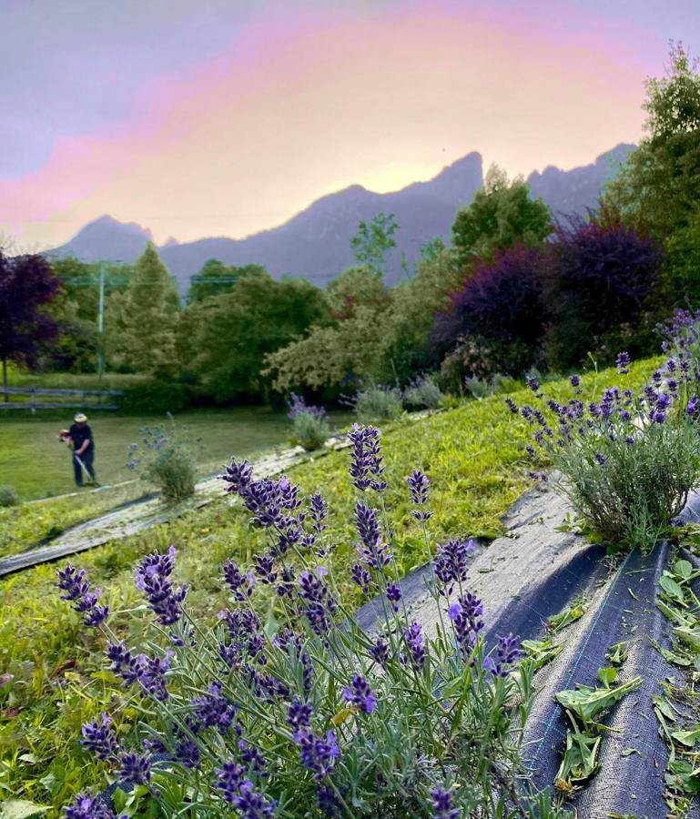 Villa Casa Delle Arti Fattoria Dei Fiori Sospirolo Exterior foto